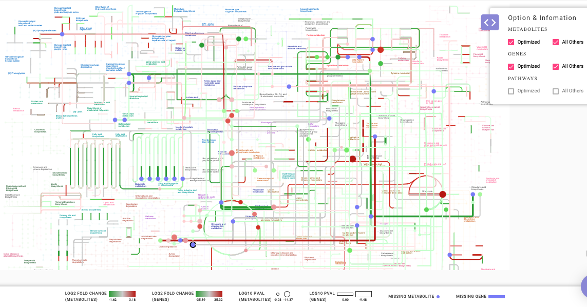 Pathway map containing all metabolites and genes in the input files