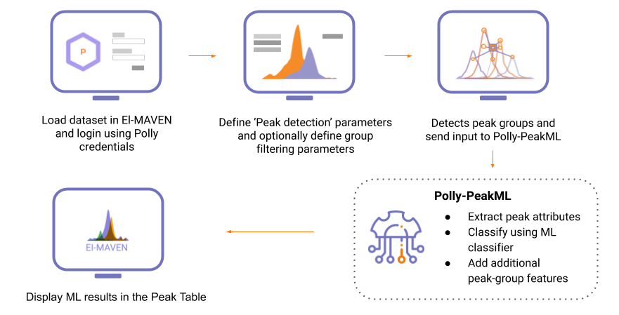 Polly-PeakML workflow schematic