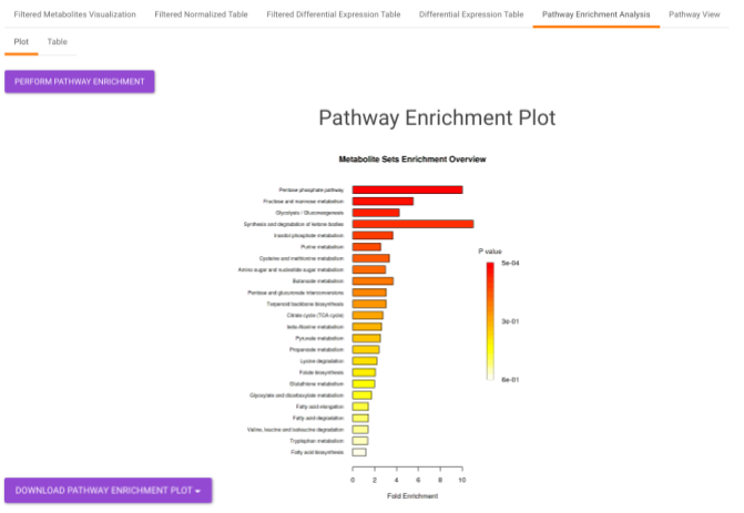 Metabolite Set Enrichment Analysis Plot